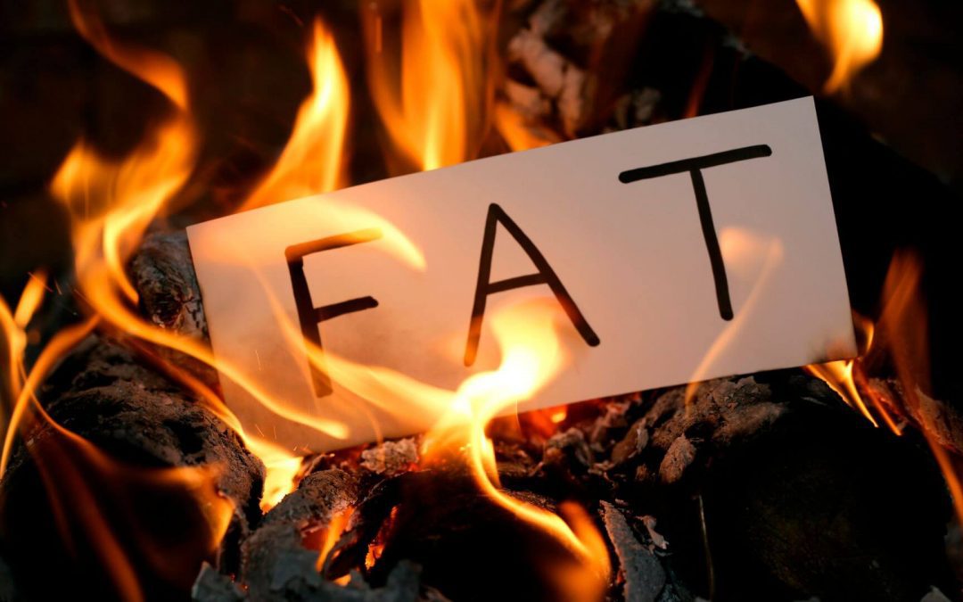 Carbs vs Fats
