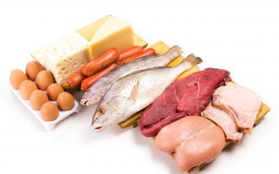 Protein is the most important macronutrient