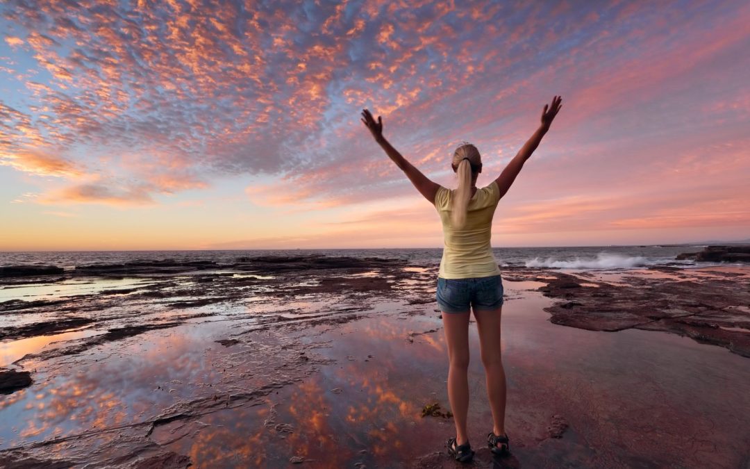 Four Essential Pillars of Wellness