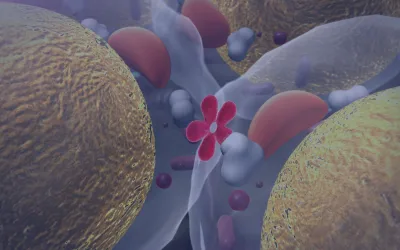 The Personal Fat Threshold Hypothesis