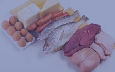 Protein Power Health: How Much Protein You Really Need
