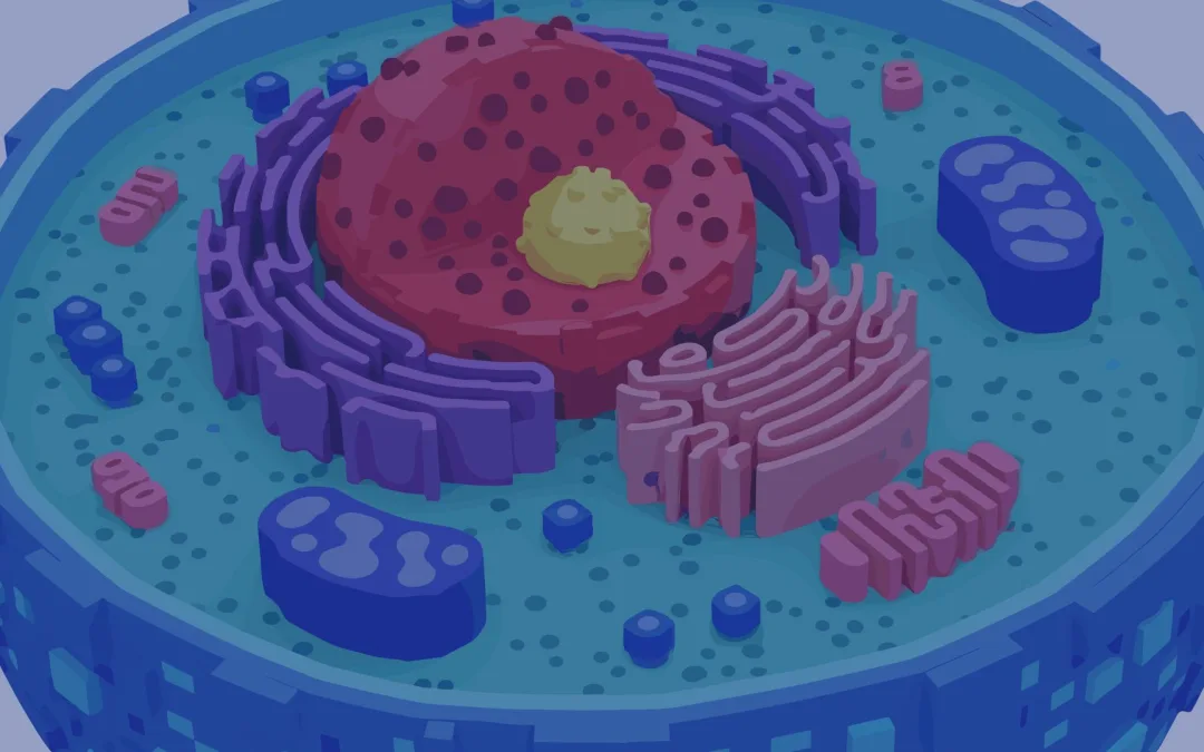 Mitochondrial Health Boost: Why Your Energy Isn’t What It Used to Be (And How to Fix It)